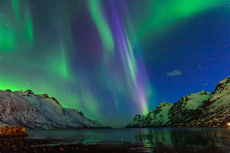 cheap holidays to norway northern lights
